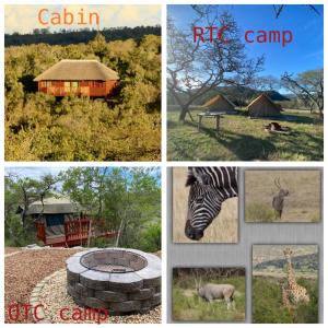 a collage of pictures of animals and a camp at Horseshoe Game Reserve in East London