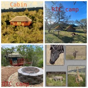 een collage van foto's van dieren en een kamp bij Horseshoe Game Reserve in East London