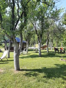 Zahrada ubytování Apartments Paradise