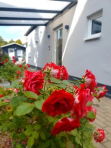 a bush of red roses in front of a house at Gap Hotel in Langwedel