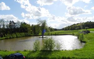 a pond in a field with a car parked next to it at Eventhotel Ö - Cappuccino in Geiselwind