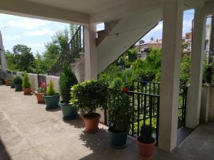 une rangée de plantes en pot sur un balcon avec des escaliers dans l'établissement White House Avtandil&Nino, à Sarpi