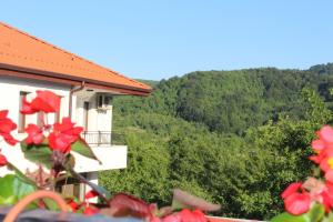 une maison avec des fleurs rouges en face d'une montagne dans l'établissement Бадевски рай- къща София, à Veliko Tarnovo