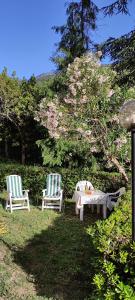 Affittacamere Angela في ليفانتو: كرسيين وطاولة وشجرة بالورود