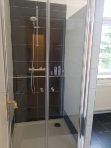 y baño con ducha y puerta de cristal. en Ferienwohnung Gmünd en Gmünd