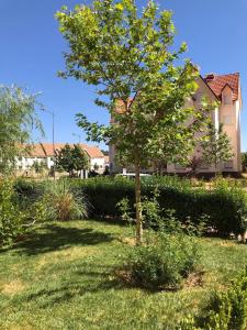 Photo de la galerie de l'établissement Joli Appartement Propre et Équipé: Jardins d'Ifran, à Ifrane