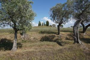 Agriturismo Cheloni tesisinin dışında bir bahçe