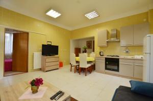 Kuchyň nebo kuchyňský kout v ubytování Zminj Apartments