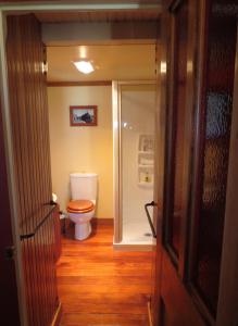 a bathroom with a toilet and a walk in shower at Hapuku Carriages Kaikōura in Kaikoura