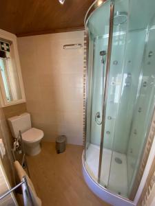 a bathroom with a shower and a toilet at Casa do Pelourinho in Coja +40 photos