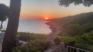 una puesta de sol sobre una playa con un árbol y el océano en B&B ViaDelMare, en Patù