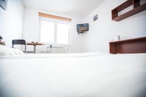 TV a/nebo společenská místnost v ubytování Turysta