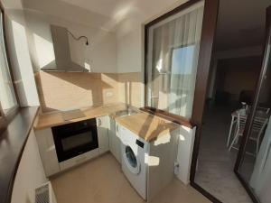 图尔恰Apartament Gabi的一间带水槽和洗碗机的小厨房