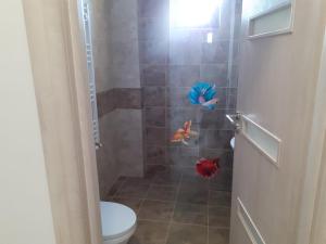 图尔恰Apartament Gabi的浴室里有个淋浴间，里面放着两条玩具鱼。 更多6张照片