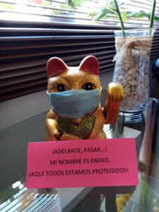 um gato de brinquedo usando uma máscara facial com um sinal em Hostal Almagro em Almagro