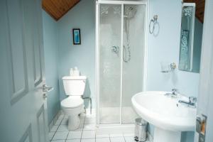 un bagno con doccia, WC e lavandino di The Lodge Doolin a Doolin