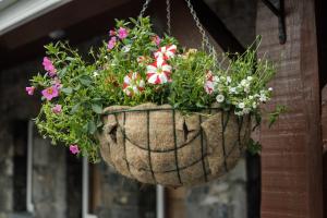 Foto dalla galleria di The Lodge Doolin a Doolin