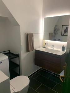 ein Badezimmer mit einem Waschbecken, einem WC und einem Spiegel in der Unterkunft Ferie lejlighed i Skagen -huset med den grønne dør in Skagen