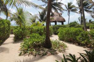 Zahrada ubytování Sol Caribe