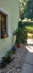 a house with some plants on the side of it at Pension U Štěpánků in Trpišovice