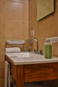 a bathroom sink with a green soap dispenser on it at Aguila Mora Aparts in El Chalten