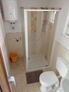 ein Bad mit einer Dusche und einem WC in der Unterkunft Pochebachhäusl in Kurort Jonsdorf