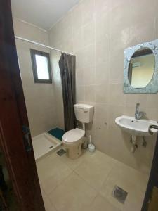La salle de bains est pourvue de toilettes et d'un lavabo. dans l'établissement Jericho Waleed's Hostel, à Jéricho