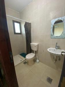 a bathroom with a toilet and a sink at Jericho Waleed's Hostel in Jericho +42 photos