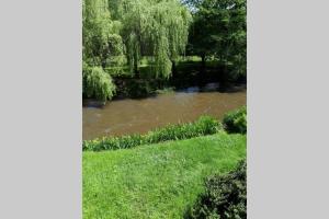 Φωτογραφία από το άλμπουμ του Maison au bord de la Rivière Dronne en Périgord Vert σε Saint-Front-la-Rivière