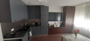 Kuchyňa alebo kuchynka v ubytovaní Apartament na Warszawskiej