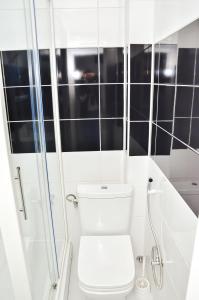 ein weißes Bad mit einem WC und einer Dusche in der Unterkunft Uvac lake "FF" in Sjenica