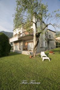 una casa con un árbol y un banco blanco en el patio en CASA VACANZE GLI ULIVI DEL LAGO, en Sale Marasino