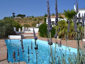 AlmogíaにあるHoliday home Casa El Cieloの紫の花が咲く家の前のプール