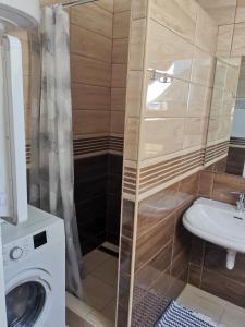 y baño con lavadora y lavamanos. en Piroska Apartman, en Harkány