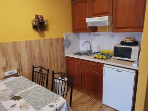 "ハルカーニャ"にあるPiroska Apartmanの小さなキッチン(シンク、電子レンジ付)