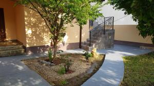 un árbol en un patio al lado de un edificio en Casa la Petcu, en Costinesti