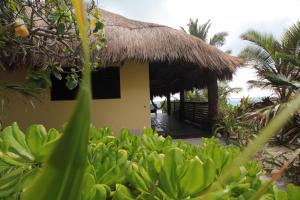 Zahrada ubytování Sol Caribe