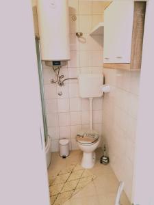 a bathroom with a toilet and a sink at Apartman Anamaria in Gospić