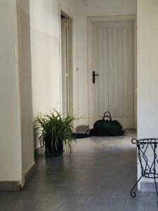 Fotografie z fotogalerie ubytování la casa nel vicolo v destinaci Ascea