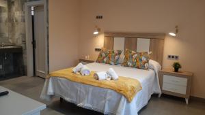 
Cama o camas de una habitación en Hotel Alvaro frente Palacio-Museo Selgas
