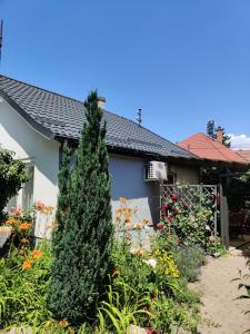 Vonkajšia záhrada v ubytovaní Lenart House 1