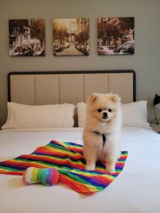 Mascotas con sus dueños en Citadines Connect Fifth Avenue New York