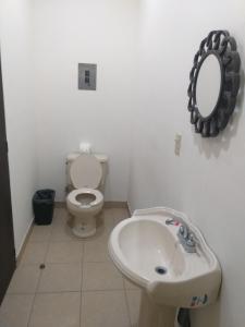 ein Badezimmer mit einem Waschbecken, einem WC und einem Spiegel in der Unterkunft Loreto La Regional in Loreto