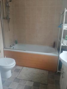 a bathroom with a tub and a toilet and a sink at Ripon Street Lincoln in Lincoln