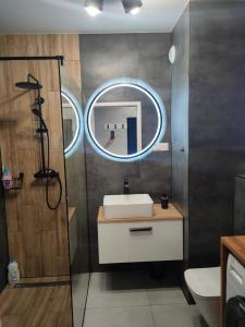 a bathroom with a sink and a mirror at Haven Apart 2 in Jelenia Góra