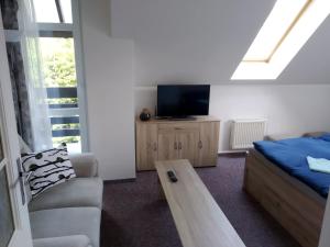 Zimmer mit einem Bett, einem Sofa und einem TV in der Unterkunft Apartmán Violeta in Harrachov