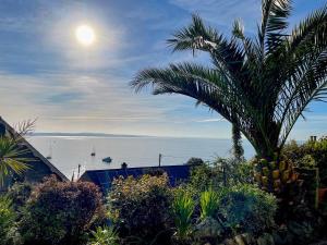 een uitzicht op de oceaan met een palmboom bij Lookout Cottage in Penzance
