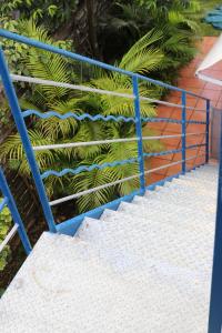 Une balustrade bleue à côté de quelques marches avec des plantes dans l'établissement La porte bleue, à Baie-Mahault