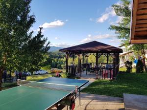 Πινγκ πονγκ στο Pensiunea Gradina Mare ή εκεί κοντά