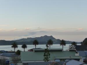 Gallery image of Esplanade Apartments in Whitianga
